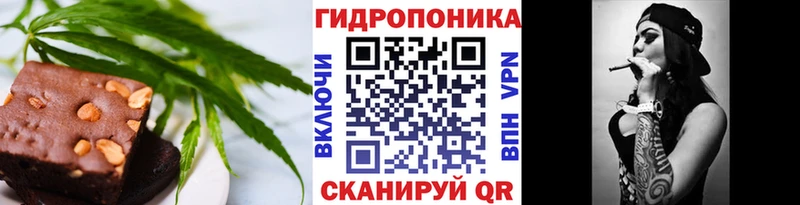 купить закладку  Петровск  Canna-Cookies конопля 
